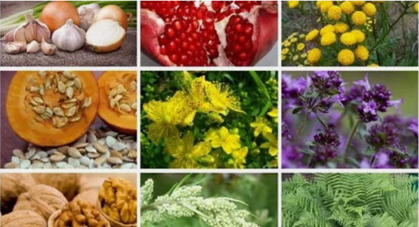 Tratamiento de parásitos en el cuerpo humano con remedios populares